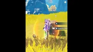 Secret Chest that you might have missed - Genshin Impact