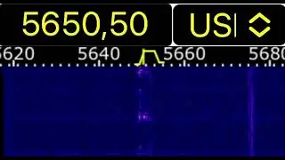5651 KHZ  acid sound