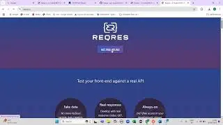 Rest Assured Beginner Tutorial  || Post Call