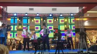 Taraful Laura Olteanu - Instrumental la Targul de nunti Suceava