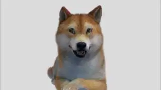 Цензура в ВК DOGE #3