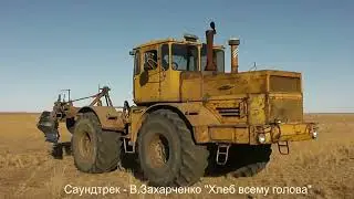 Хлеб всему голова! Хлеб от поля до стола