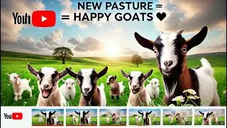 New Goat Pasture = Happy Goats ☺️ | Using “garden fence” & solar electric to contain goats