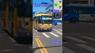 Real Tayo World  💚💚💙💙💛💛  
