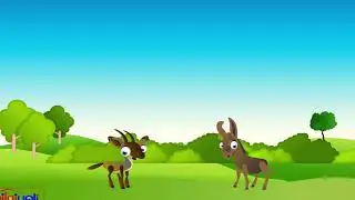 uyanık keçi ile eşek