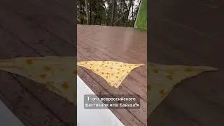 АНО ЦИ «Фокус-Талант» | Виктория Лобырева #бизнеспоженски #фокусталант #некоммерческаяорганизация