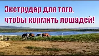 Экструдер кормовой [экструдированный корм для лошадей]