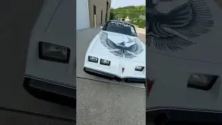 Gorgeous 1981 Pontiac Trans Am Pace Car For Sale~Fully Restored Magazine Cover Car with Build Sheet