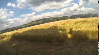 HOW TO SHOOT 105 PIGEONS OVER LAID BARLEY   A1 Decoy