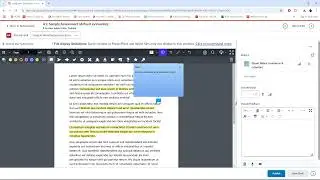 Brightspace Assignment Evaluation Panel: Document Preview