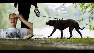 Falsche Tierliebe - Was Menschen über ihr Haustier wirklich denken