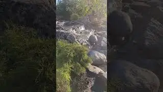 Каскад из природного камня и сланца