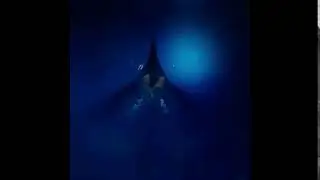 Ziina vore