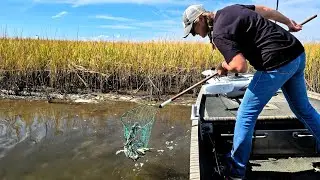 Louisiana Marsh Mayhem! Blue Crabs & Redfish EVERYWHERE! Smoked Fish Dip on the Menu! 