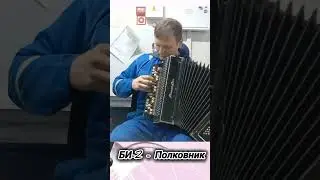 Голосуй за понравившуюся песню! (би-2, жуки, ария) #песнинабаяне #баянкавер