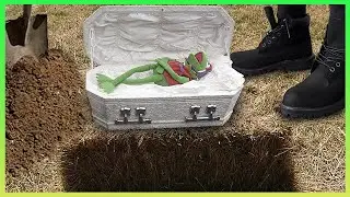 Funeral For A Frog