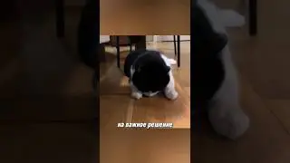 как она съела это??
