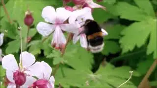 Spotkania z przyrodą
