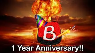 1 year Baviversary