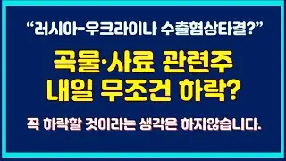 [주식] 러시아-우크라이나 수출협상타결, 내일 무조건 하락일까?