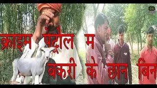 Crime petrol  me bakri ke Chhan bin mzedaar video #noneya || क्राइम पेट्रोल  में बकरी के छान बिन ||