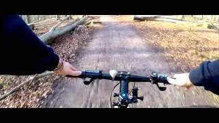 Biking in Brussels - Sonian Forest - Feb 2015