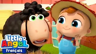 Mouton noir, où es-tu ? | Comptines avec Bébé Louis | Little Angel Français