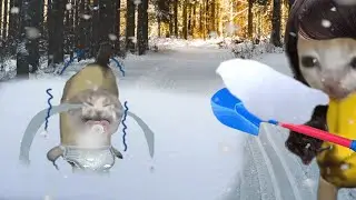 BANANA CAT BABY 🐱 HAPPY AND 😿 CRY VIDEOS 6 