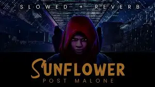 Sunflower-post Malone & Swae lee  (slowed + reverb) | Slowed Reverb Vibes