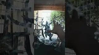 VFX Breakdown | Before And After 