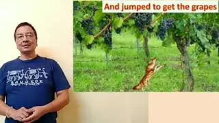 Learn English with story|The fox and the grapes