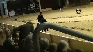 OD22V1Flaumur frá Sólvangi