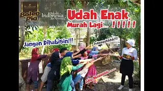 Bolen Pia Baledono (Official Original Video) Oleh-Oleh Indonesia Dari Purworejo