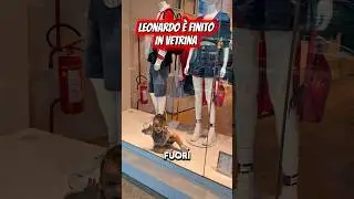 Leonardo ended up in the display window