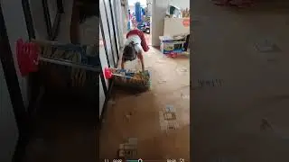 тако