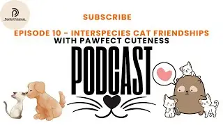 Episode 10 - The SHOCKING Truth About Cats And Their Inter Species BFFs