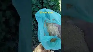 lupini macinati come fertilizzante