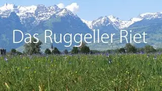 Das Ruggeller Riet