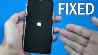 How to Fix Black Screen/Stuck on Logo Issue on iPhone X [SOLVED]
