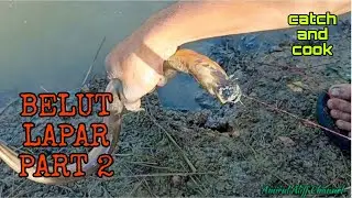#EP894 Putus Tali! - mancing belut