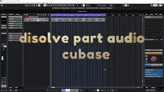 Disolve part audio file in Cubase