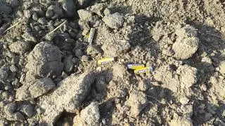 Батарейки на полях