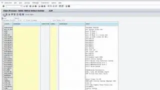 SAP Local Client Copy - Edited