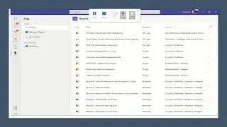 MS Teams layout( Explained in English )