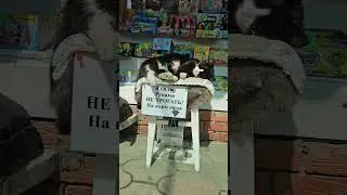 При пожаре выносить первым:.... 