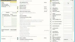 Personalizar formularios en SAP