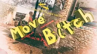 Move Bitch