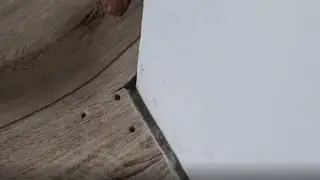 Дыры в линолеуме. Смотрите как замаскировать.Holes in the linoleum. See how to disguise.