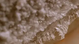 Fermented Film Exclusive Preview: Making Salt With Chef Edward Lee