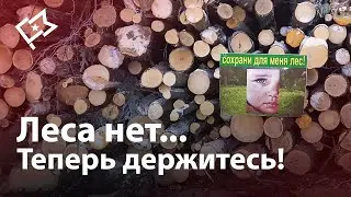 Битва за Троицкий лес 06.02.2022